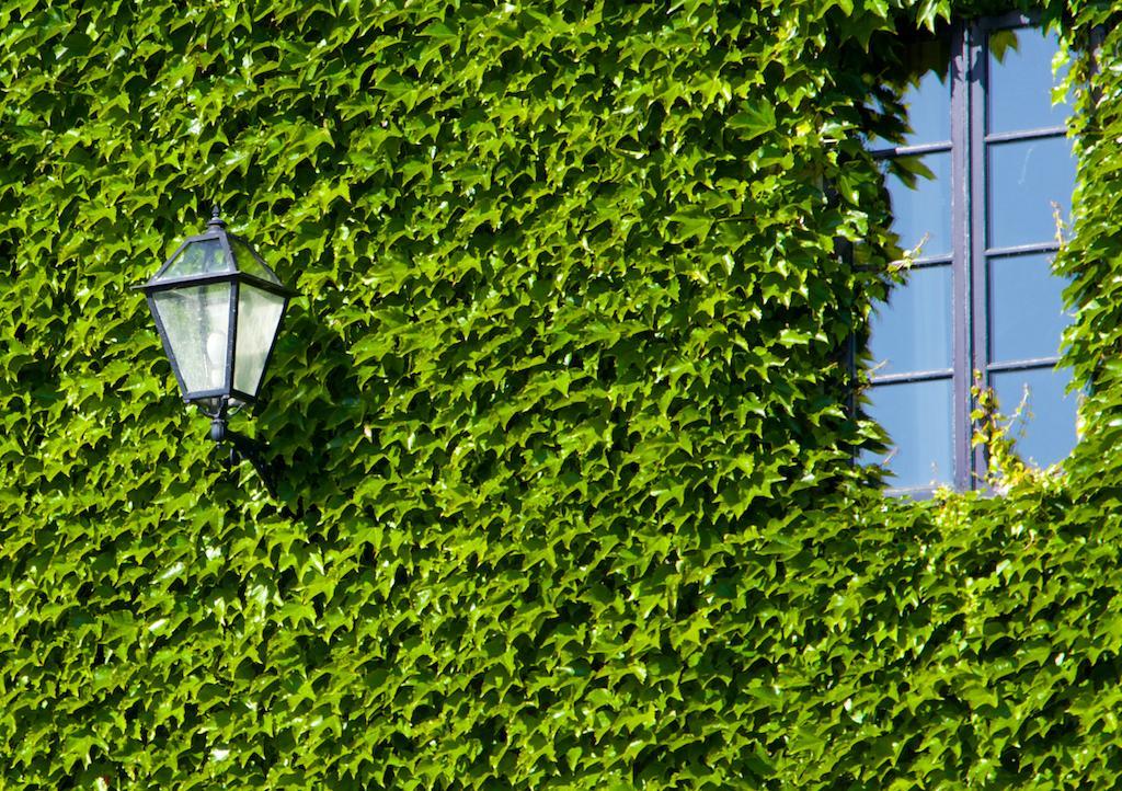 Hotel Rectoral De Cobres 1729 San Adrian de Cobres Esterno foto